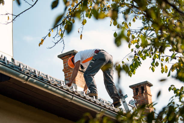 Best Roof Gutter Cleaning  in Jasmine Estates, FL