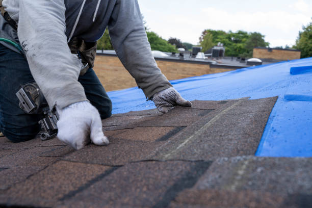 Best Emergency Roof Repair  in Jasmine Estates, FL