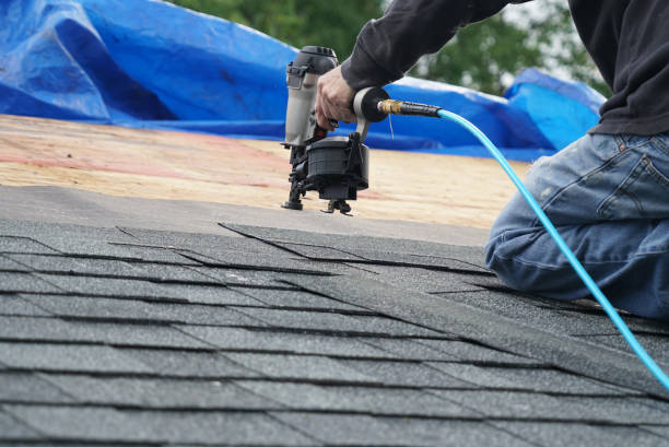 Roof Waterproofing Services in Jasmine Estates, FL