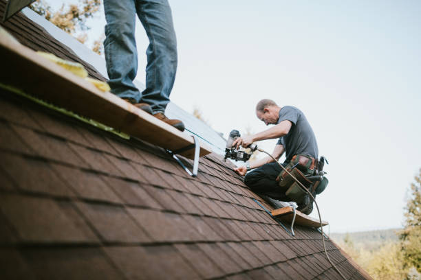 Best New Roof Installation  in Jasmine Estates, FL
